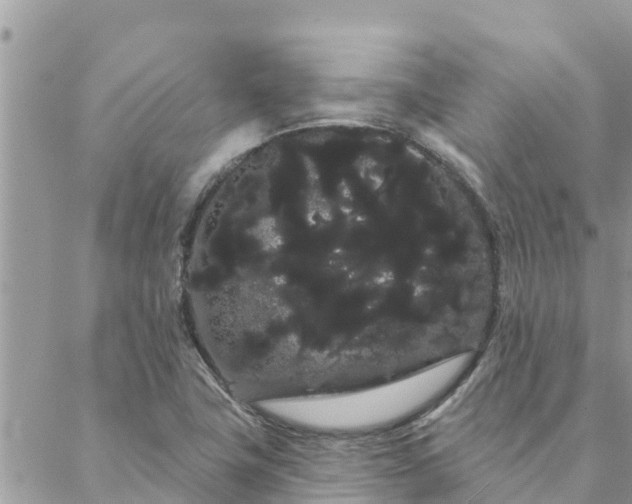 X0000088591411200706011126