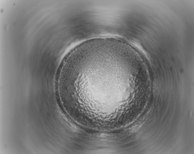 X0000088591412200706011126