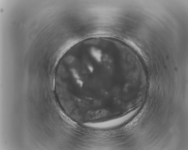 X0000088591413200706011126