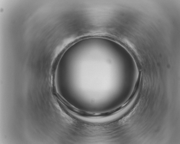 X0000088591414200706011126