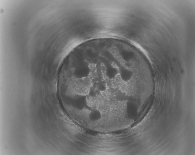 X0000088591415200706011126