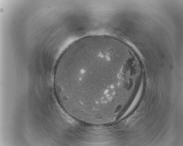 X0000088591416200706011126