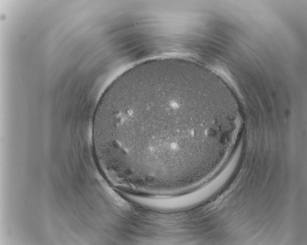 X0000088591420200706011126