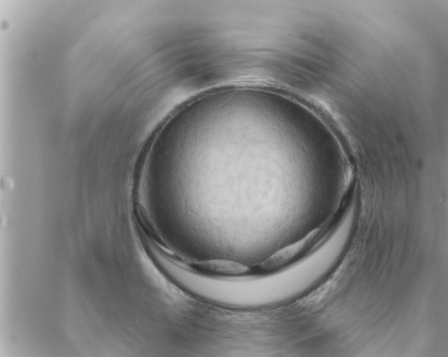 X0000088591422200706011126