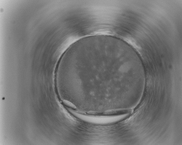 X0000088591423200706011126