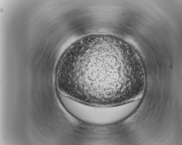 X0000088591424200706011126