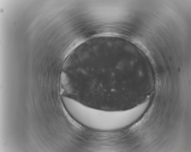 X0000088591425200706011126