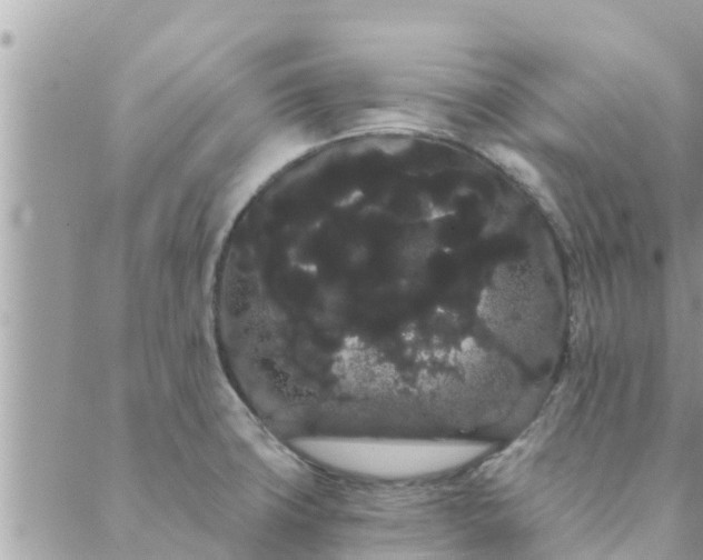 X0000088591427200706011126