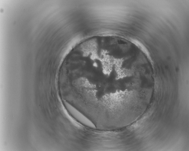 X0000088591429200706011126