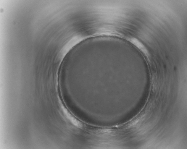 X0000088591431200706011126