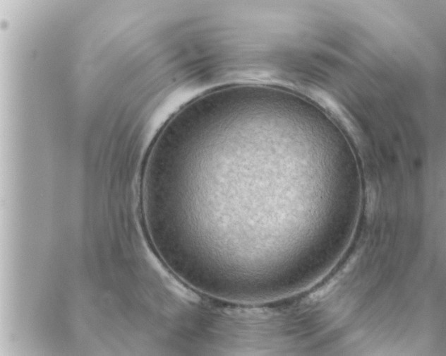 X0000088591432200706011126