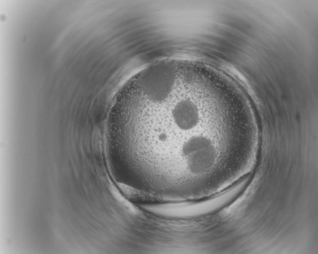 X0000088591433200706011126