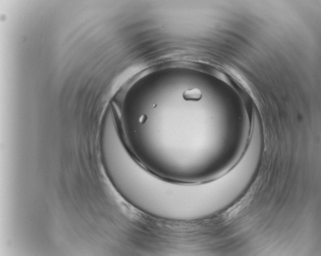 X0000088591434200706011126