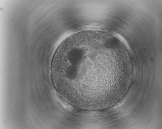 X0000088591435200706011126