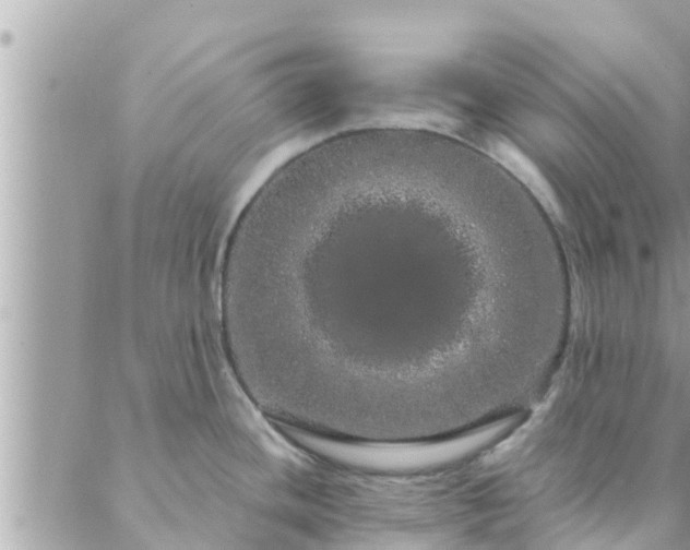 X0000088591436200706011126