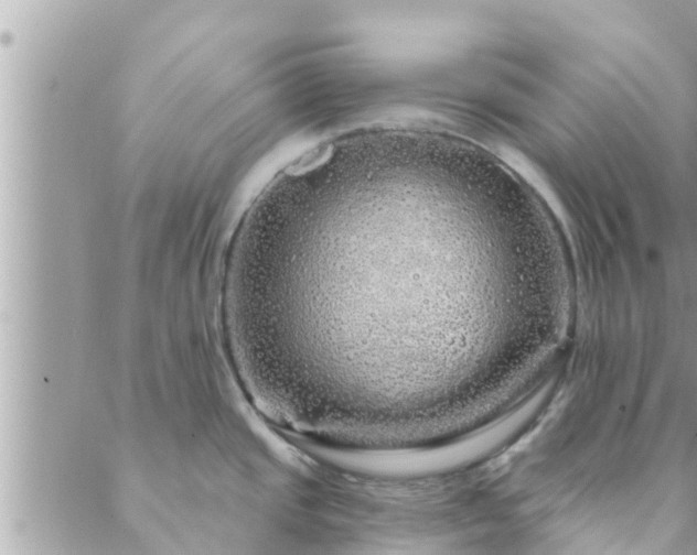 X0000088591437200706011126