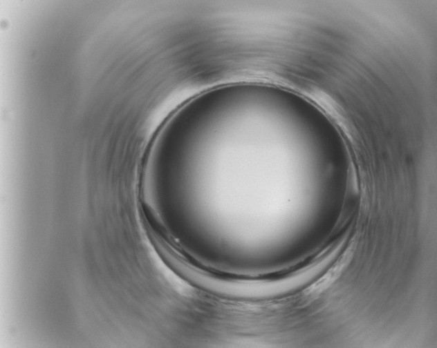 X0000088591438200706011127