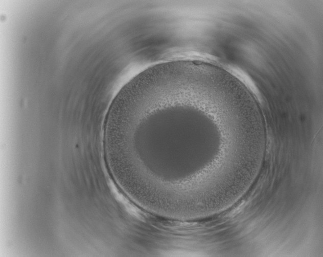 X0000088591439200706011127