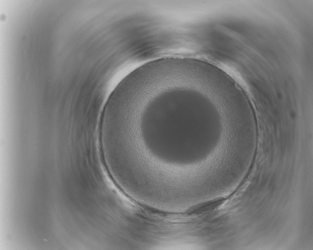 X0000088591440200706011127