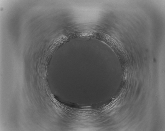 X0000088591441200706011126