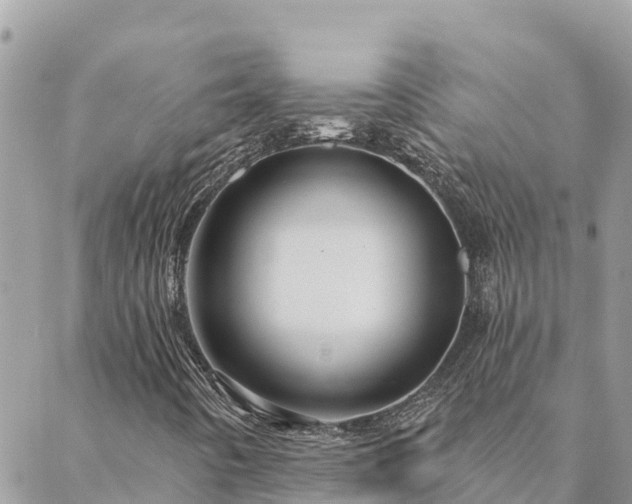 X0000088591442200706011126