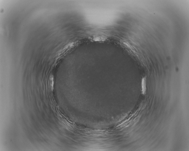 X0000088591443200706011126