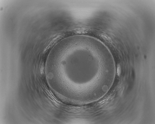 X0000088591444200706011126