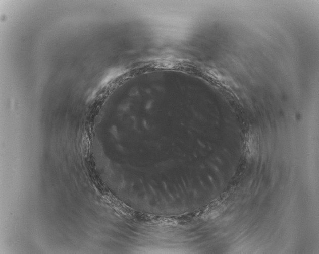 X0000088591446200706011126