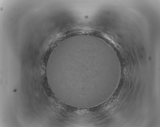 X0000088591447200706011126