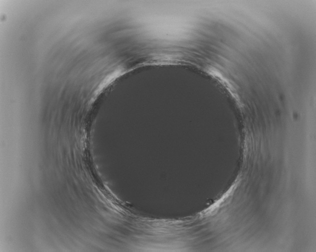 X0000088591449200706011126