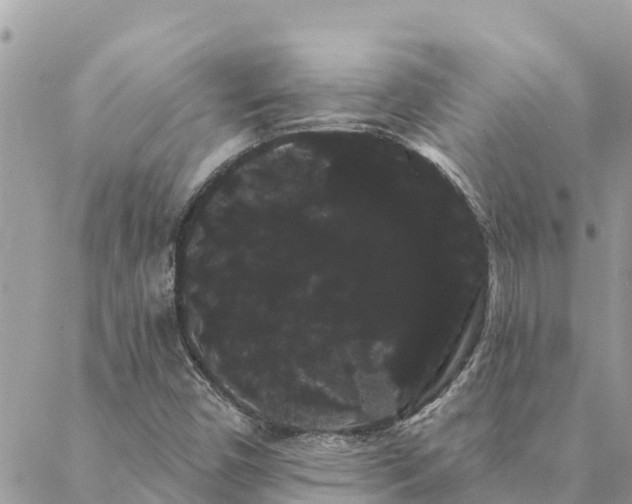 X0000088591450200706011126