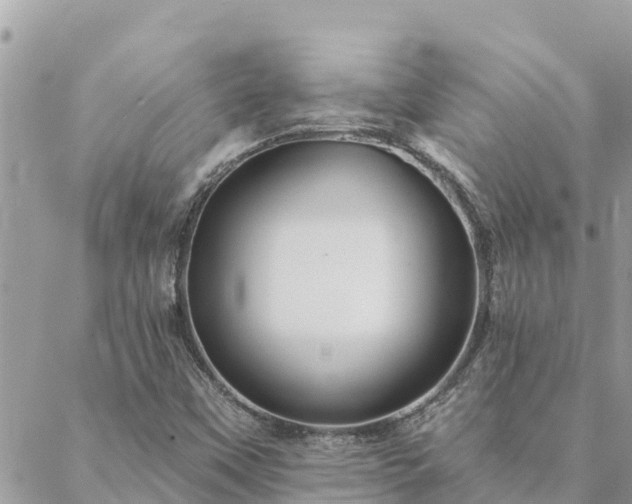 X0000088591451200706011126