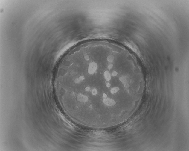 X0000088591452200706011126