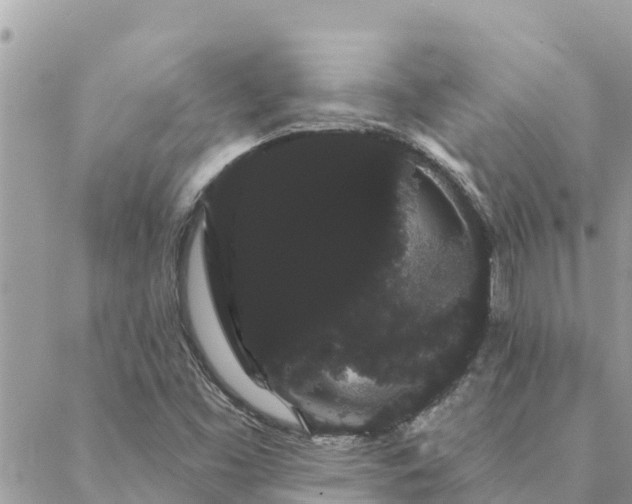 X0000088591453200706011126