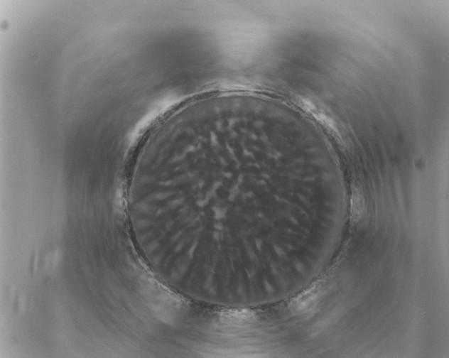 X0000088591454200706011126