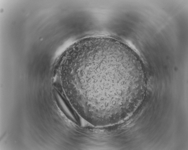 X0000088591456200706011126