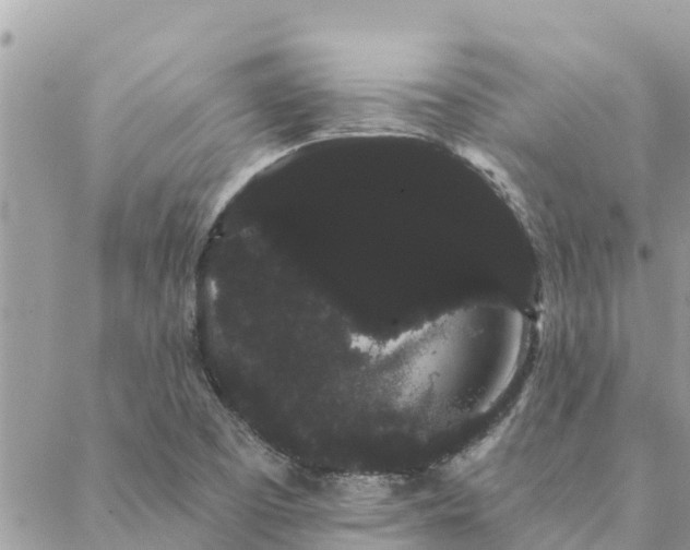 X0000088591457200706011126