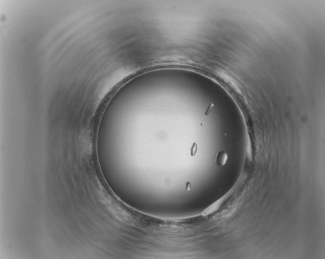 X0000088591458200706011125