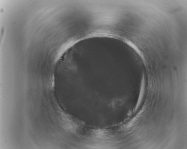 X0000088591461200706011125