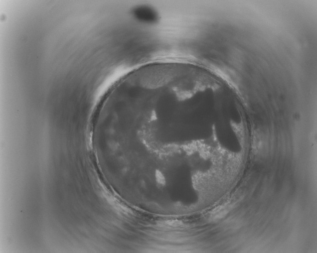 X0000088591462200706011125