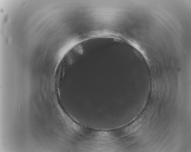 X0000088591463200706011125