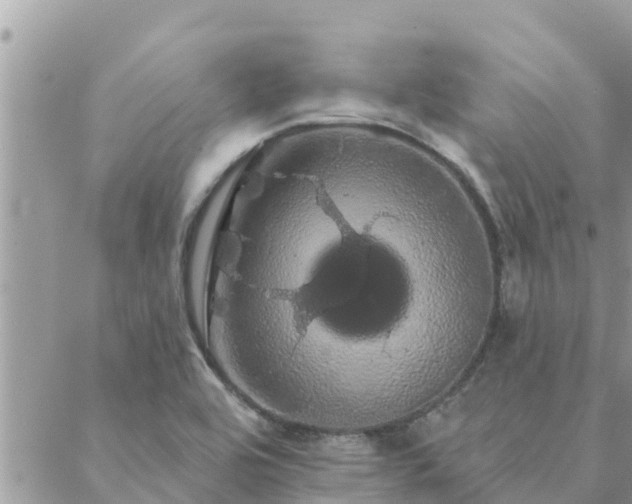 X0000088591464200706011125