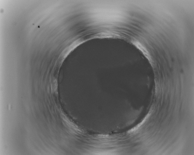 X0000088591465200706011125