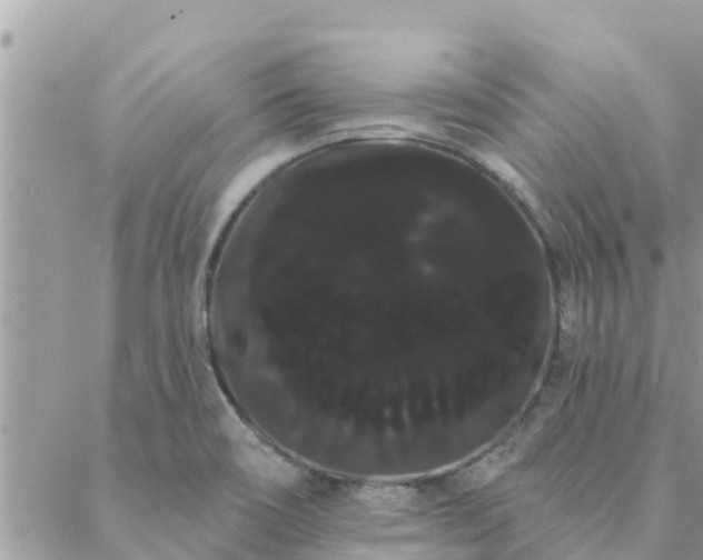 X0000088591466200706011125