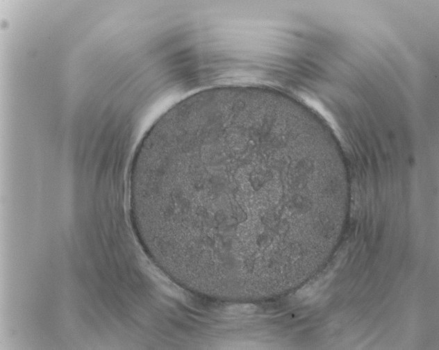 X0000088591467200706011125