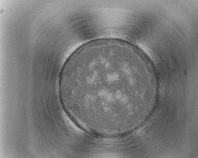 X0000088591468200706011125