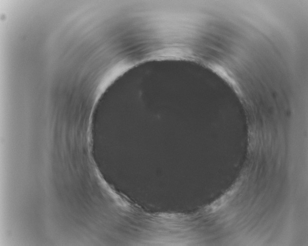 X0000088591469200706011125