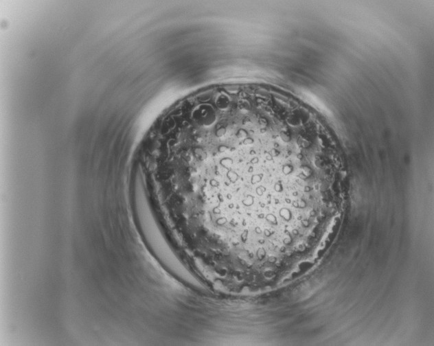 X0000088591472200706011125