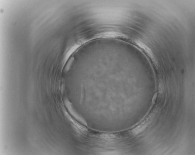 X0000088591473200706011125