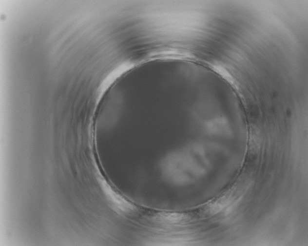 X0000088591474200706011125